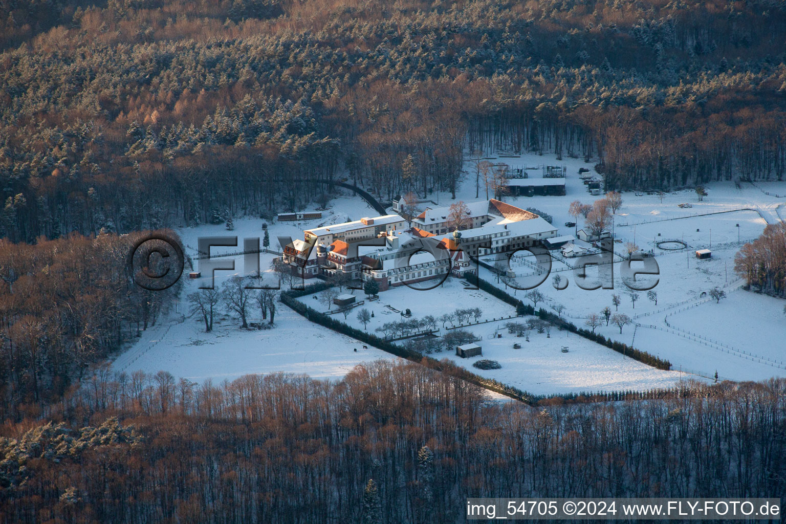 Bad Bergzabern dans le département Rhénanie-Palatinat, Allemagne depuis l'avion