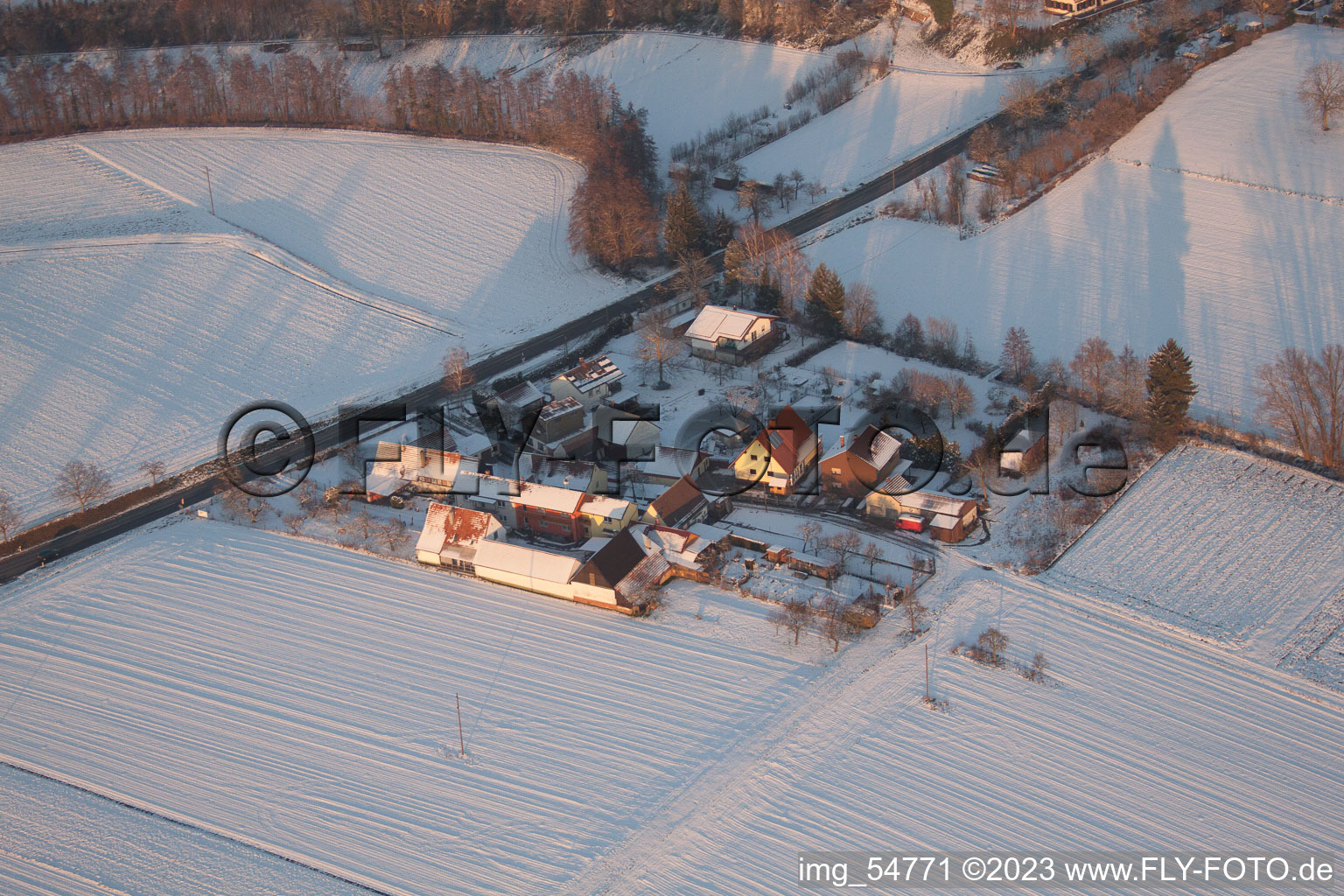 Vue aérienne de Hôtel Welchhof à Minfeld dans le département Rhénanie-Palatinat, Allemagne