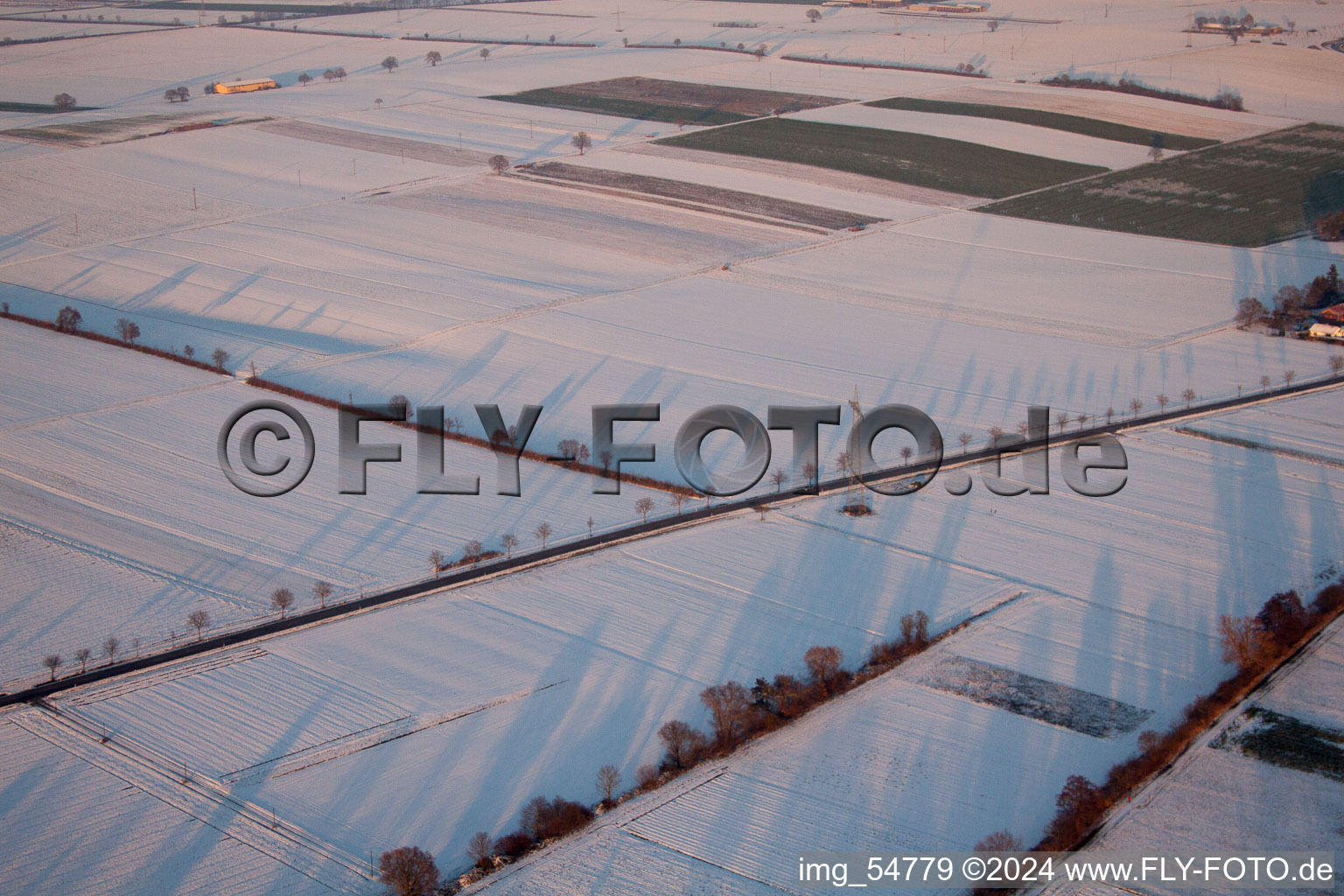 Minfeld dans le département Rhénanie-Palatinat, Allemagne vue d'en haut