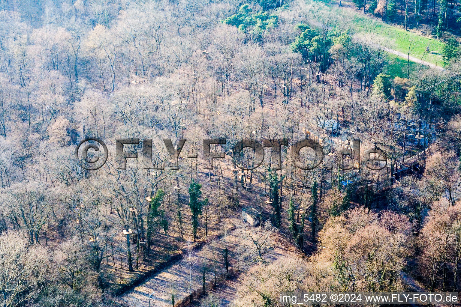 Vue aérienne de Parc aventure à Kandel dans le département Rhénanie-Palatinat, Allemagne