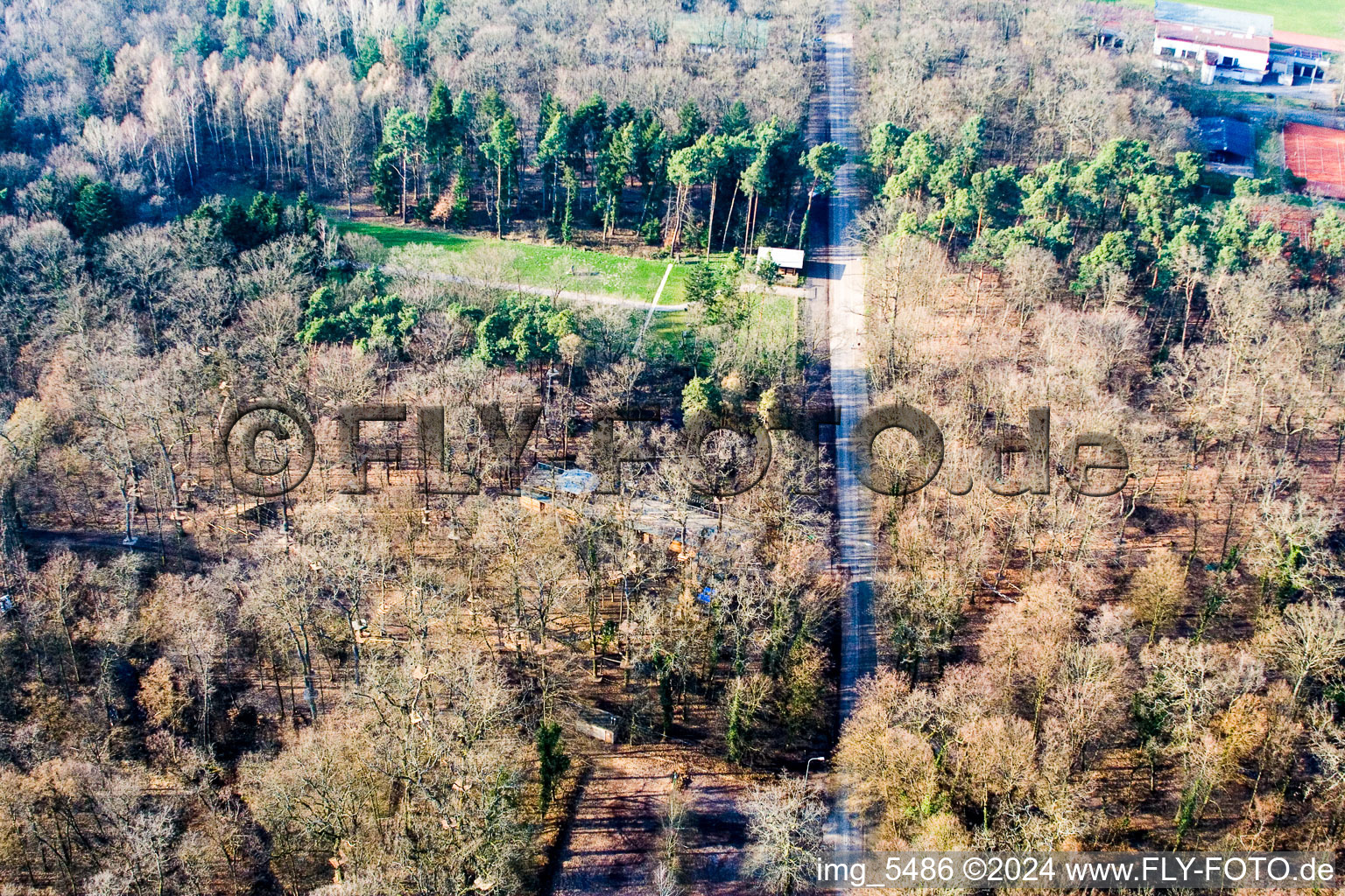 Vue oblique de Parc aventure à Kandel dans le département Rhénanie-Palatinat, Allemagne