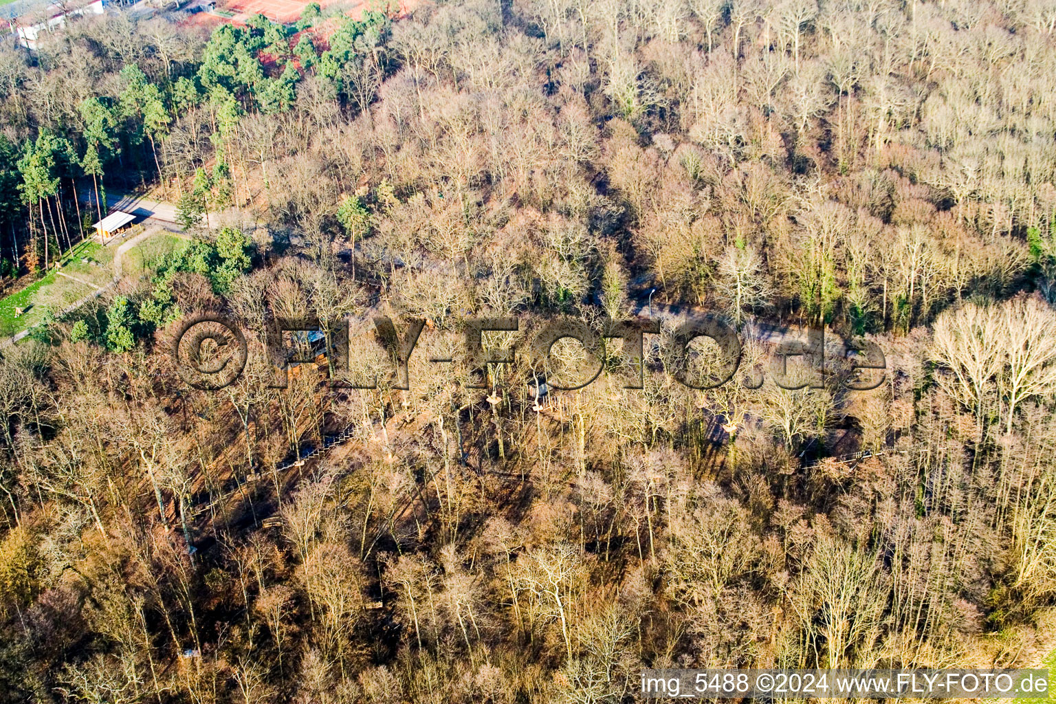 Parc aventure à Kandel dans le département Rhénanie-Palatinat, Allemagne d'en haut