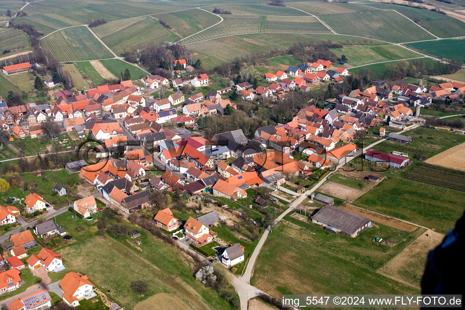 Vue d'oiseau de Hergersweiler dans le département Rhénanie-Palatinat, Allemagne