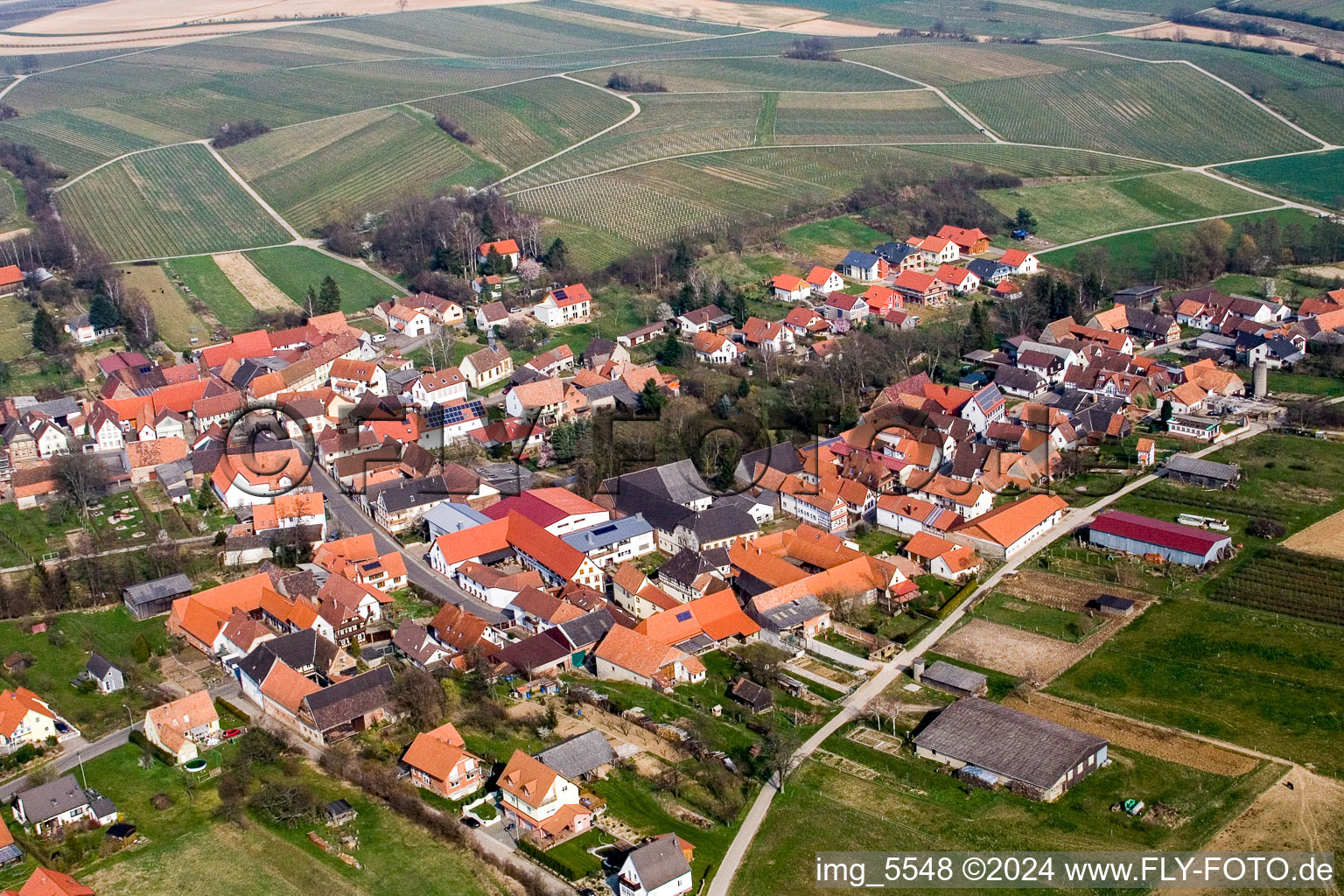 Hergersweiler dans le département Rhénanie-Palatinat, Allemagne vue du ciel