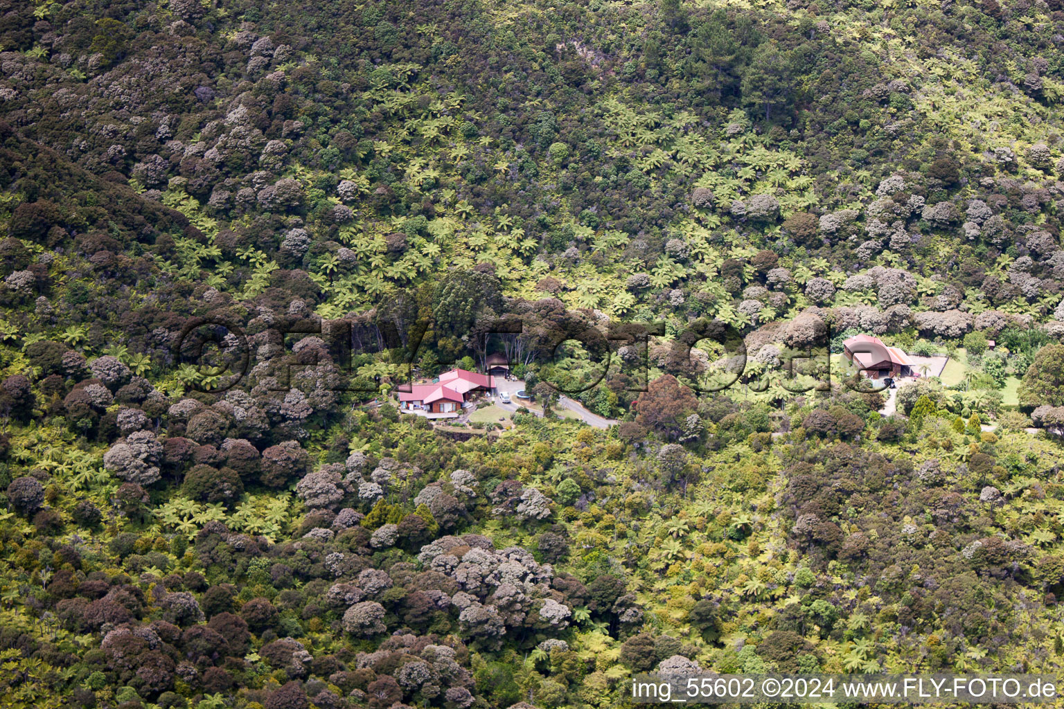 Quartier Preece Point in Coromandel dans le département Waïkato, Nouvelle-Zélande d'un drone