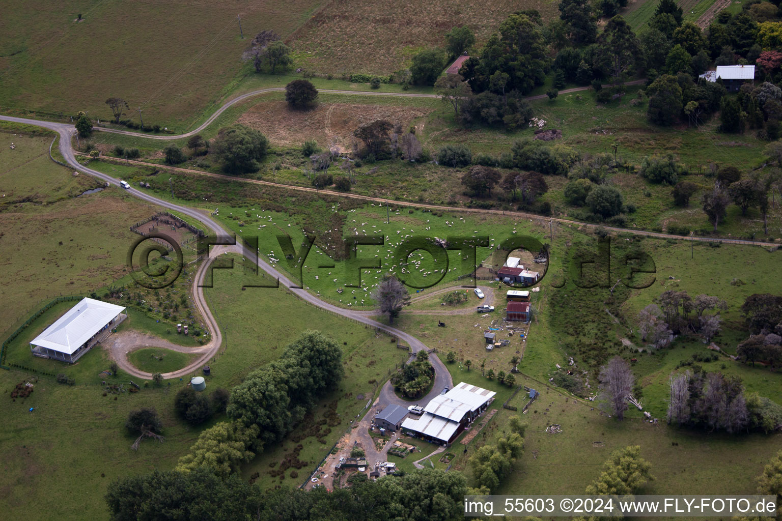 Quartier Preece Point in Coromandel dans le département Waïkato, Nouvelle-Zélande vu d'un drone