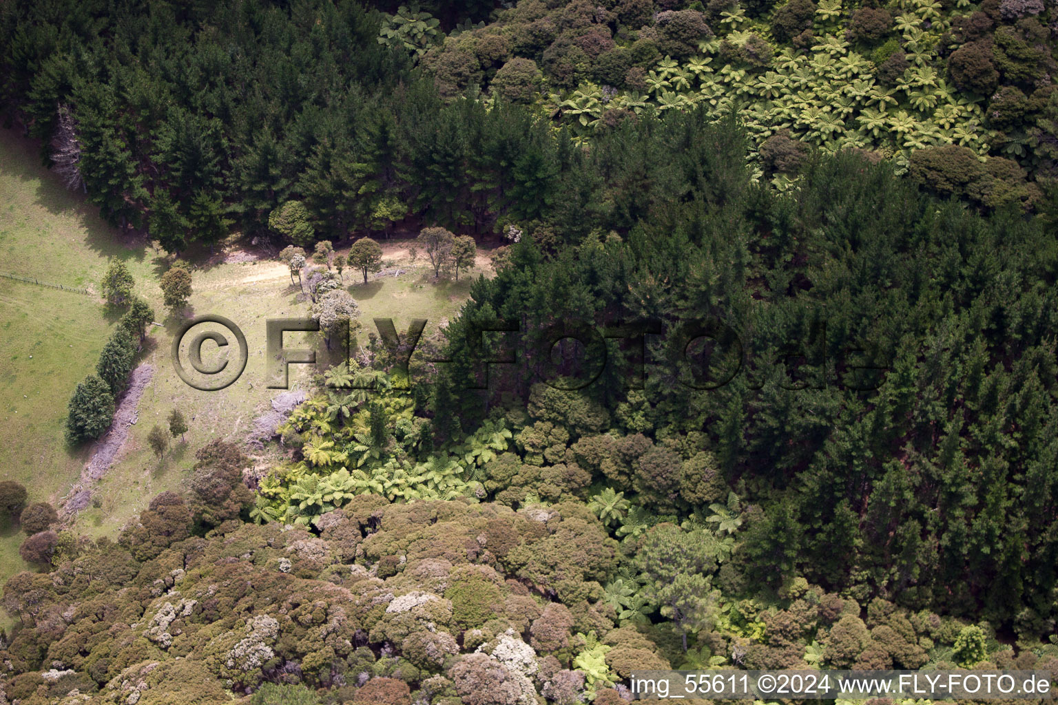 Quartier Preece Point in Coromandel dans le département Waïkato, Nouvelle-Zélande d'en haut