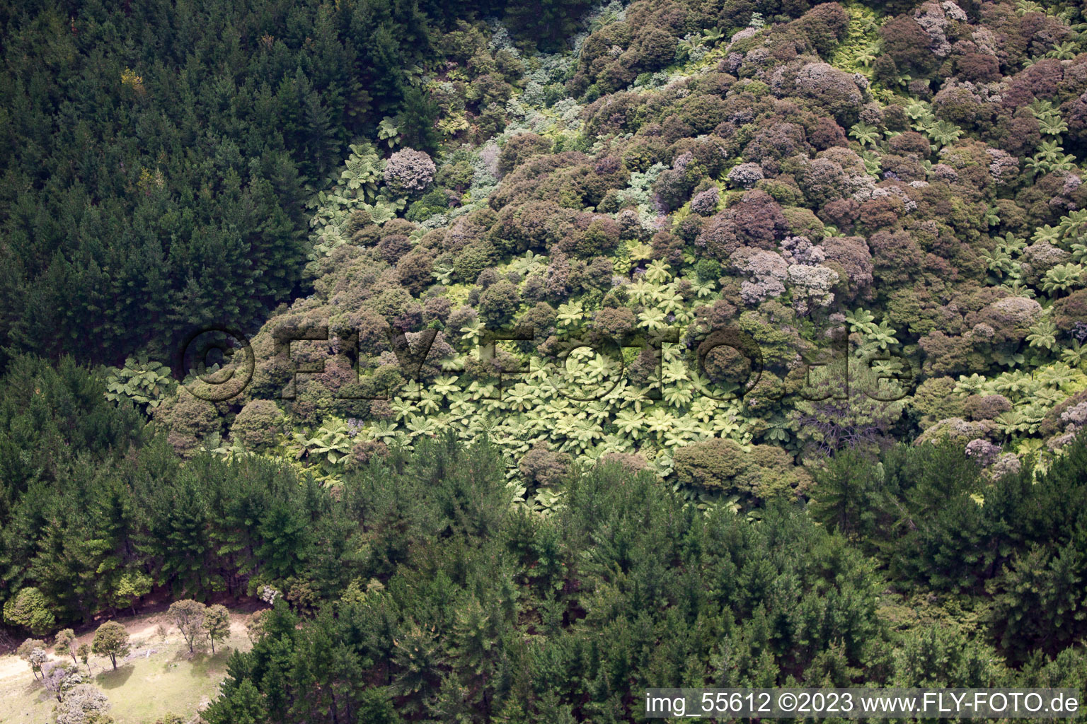 Enregistrement par drone de Coromandel dans le département Waïkato, Nouvelle-Zélande