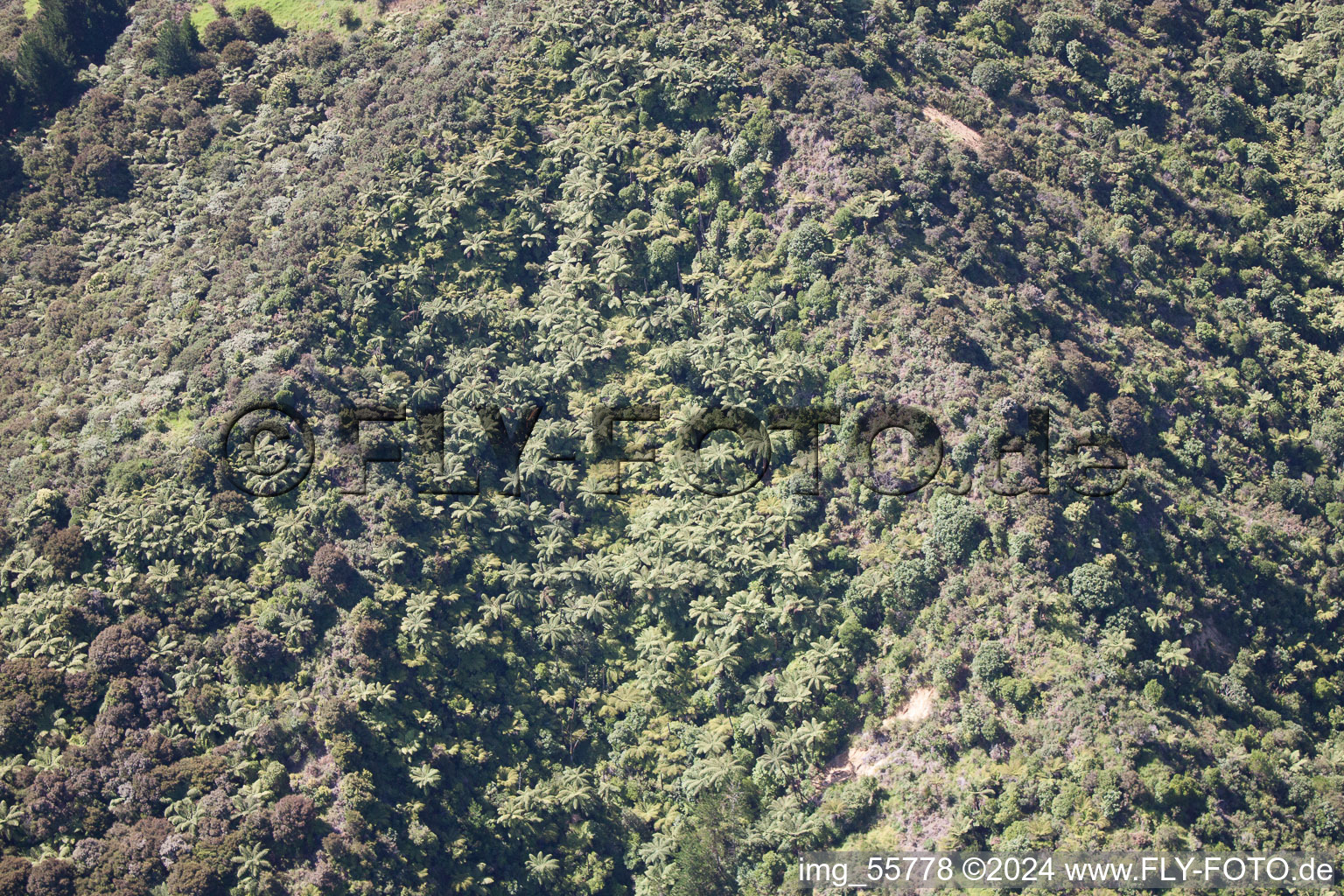 Coromandel dans le département Waïkato, Nouvelle-Zélande vue du ciel