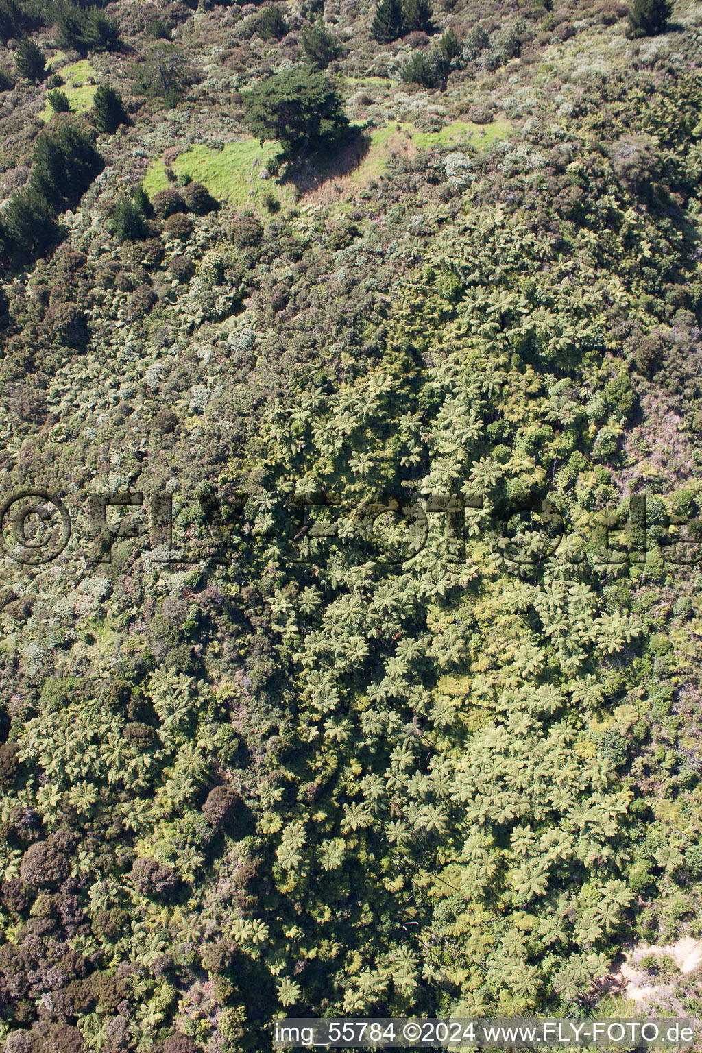 Vue oblique de Coromandel dans le département Waïkato, Nouvelle-Zélande