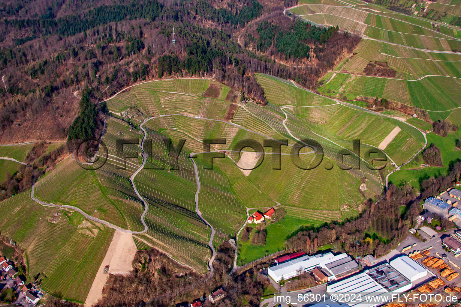 Vue aérienne de Vue sur l'Achertal et Bienenbuckel à Achern dans le département Bade-Wurtemberg, Allemagne