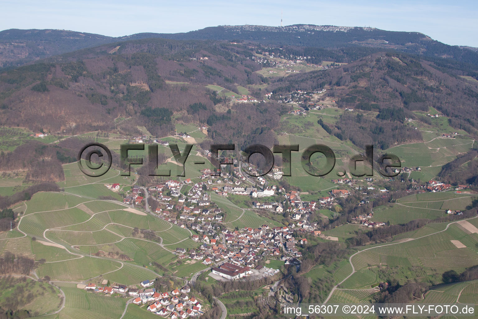 Kappelrodeck dans le département Bade-Wurtemberg, Allemagne depuis l'avion