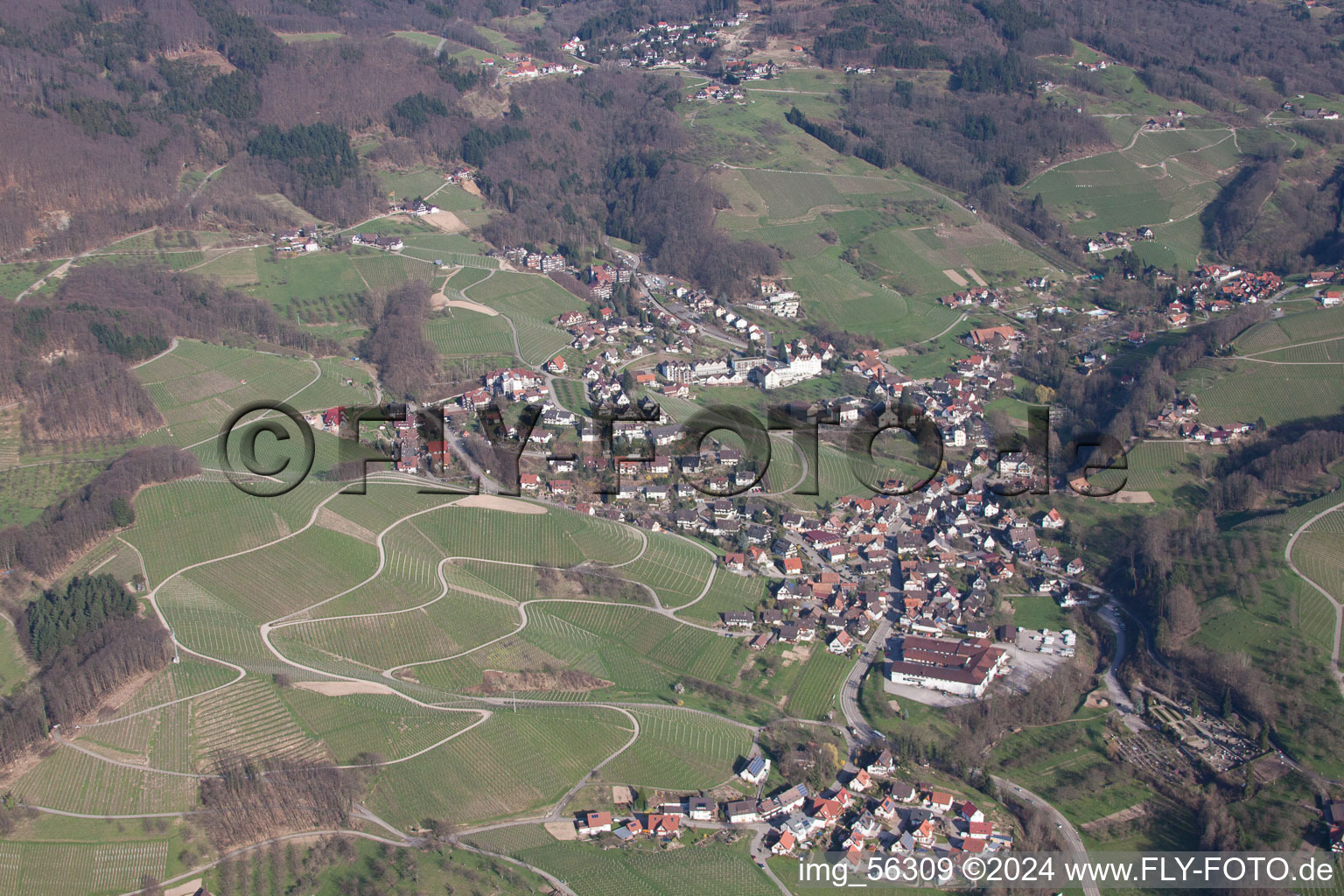 Kappelrodeck dans le département Bade-Wurtemberg, Allemagne vue du ciel