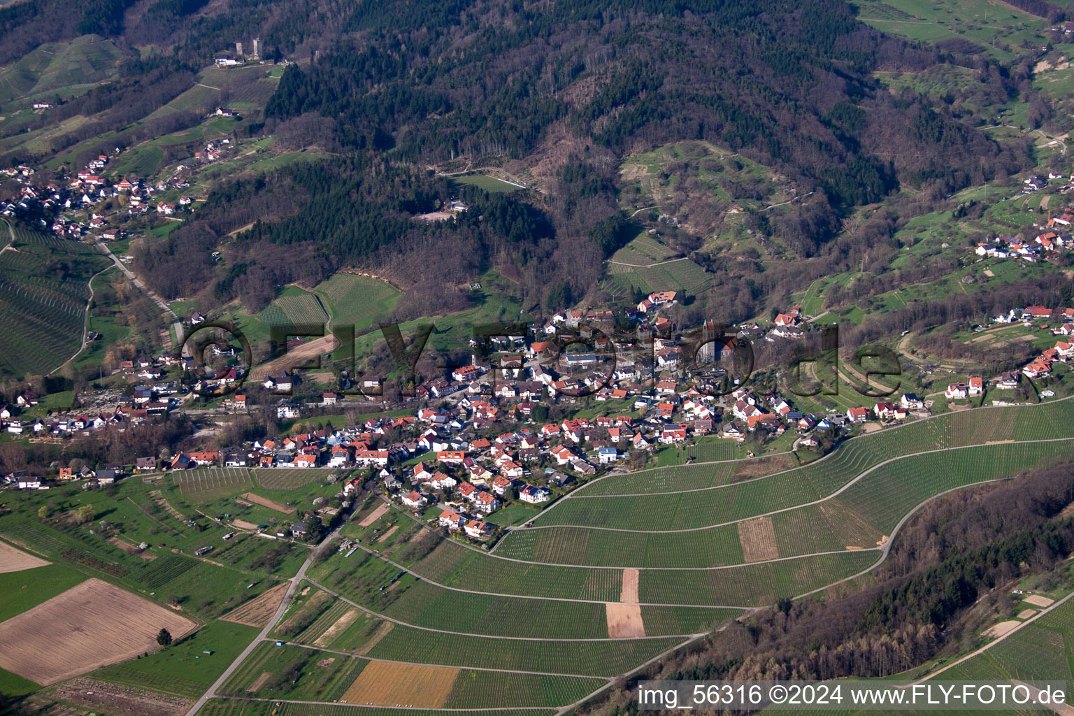 Vue aérienne de Vignobles à le quartier Neusatz in Bühl dans le département Bade-Wurtemberg, Allemagne