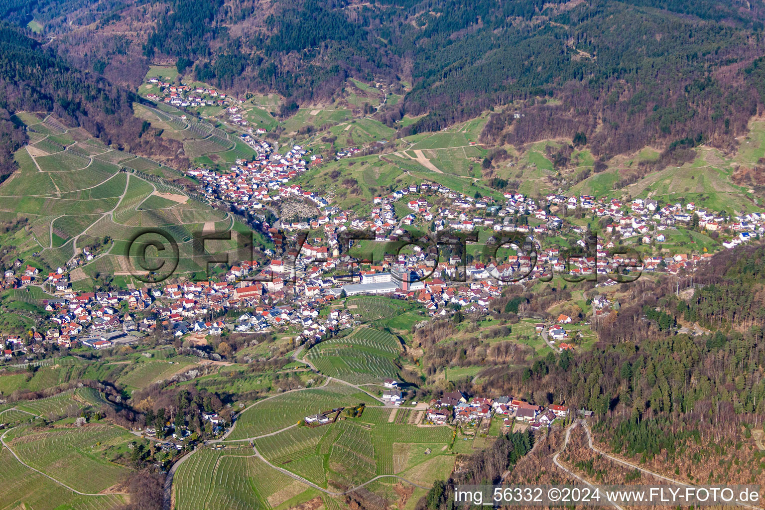 Bühlertal dans le département Bade-Wurtemberg, Allemagne hors des airs