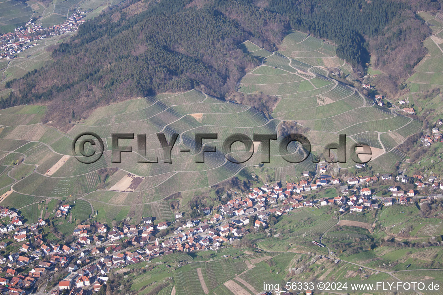 Vue aérienne de Quartier Altschweier in Bühl dans le département Bade-Wurtemberg, Allemagne