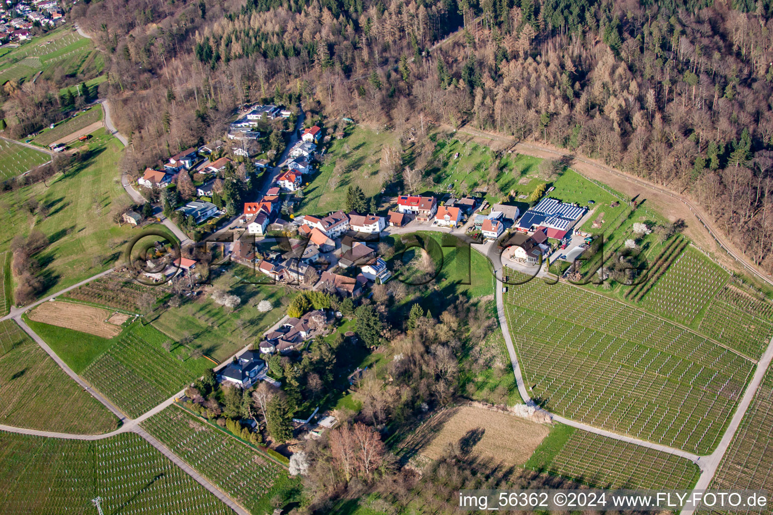 Vue aérienne de Rue Ebenunger à le quartier Ebenung in Sinzheim dans le département Bade-Wurtemberg, Allemagne