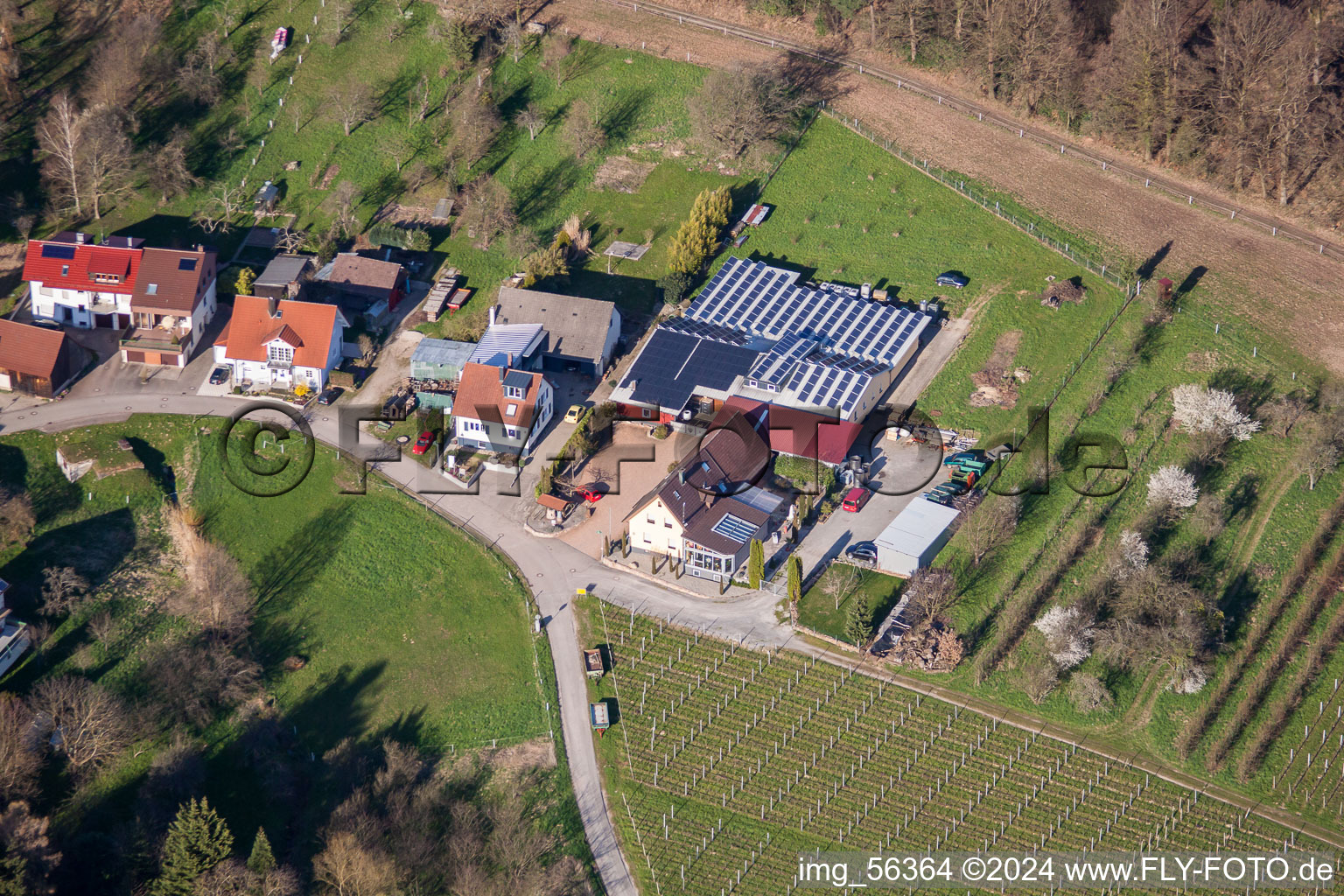 Vue aérienne de Domaine viticole Kopp à le quartier Ebenung in Sinzheim dans le département Bade-Wurtemberg, Allemagne