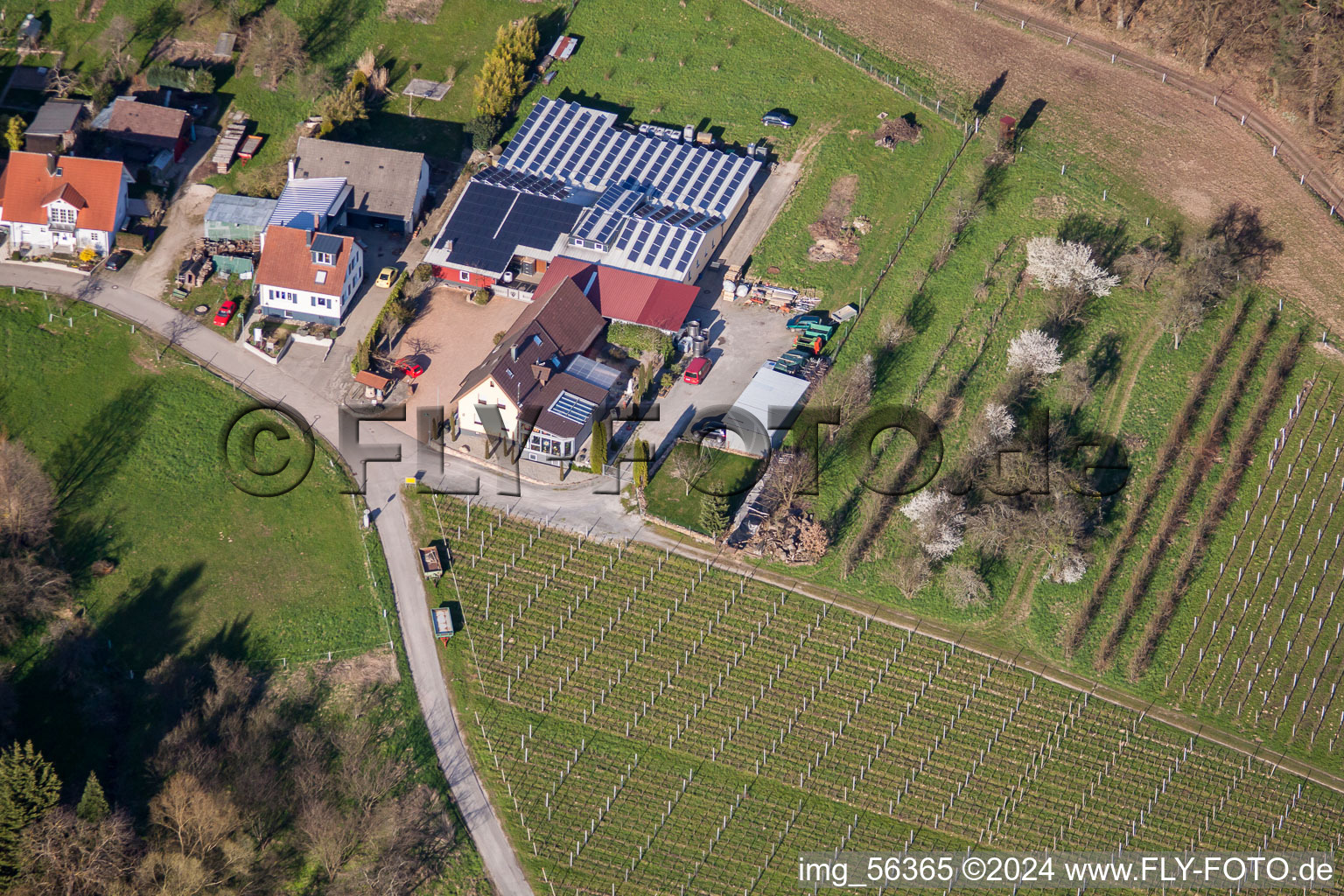 Photographie aérienne de Domaine viticole Kopp à le quartier Ebenung in Sinzheim dans le département Bade-Wurtemberg, Allemagne