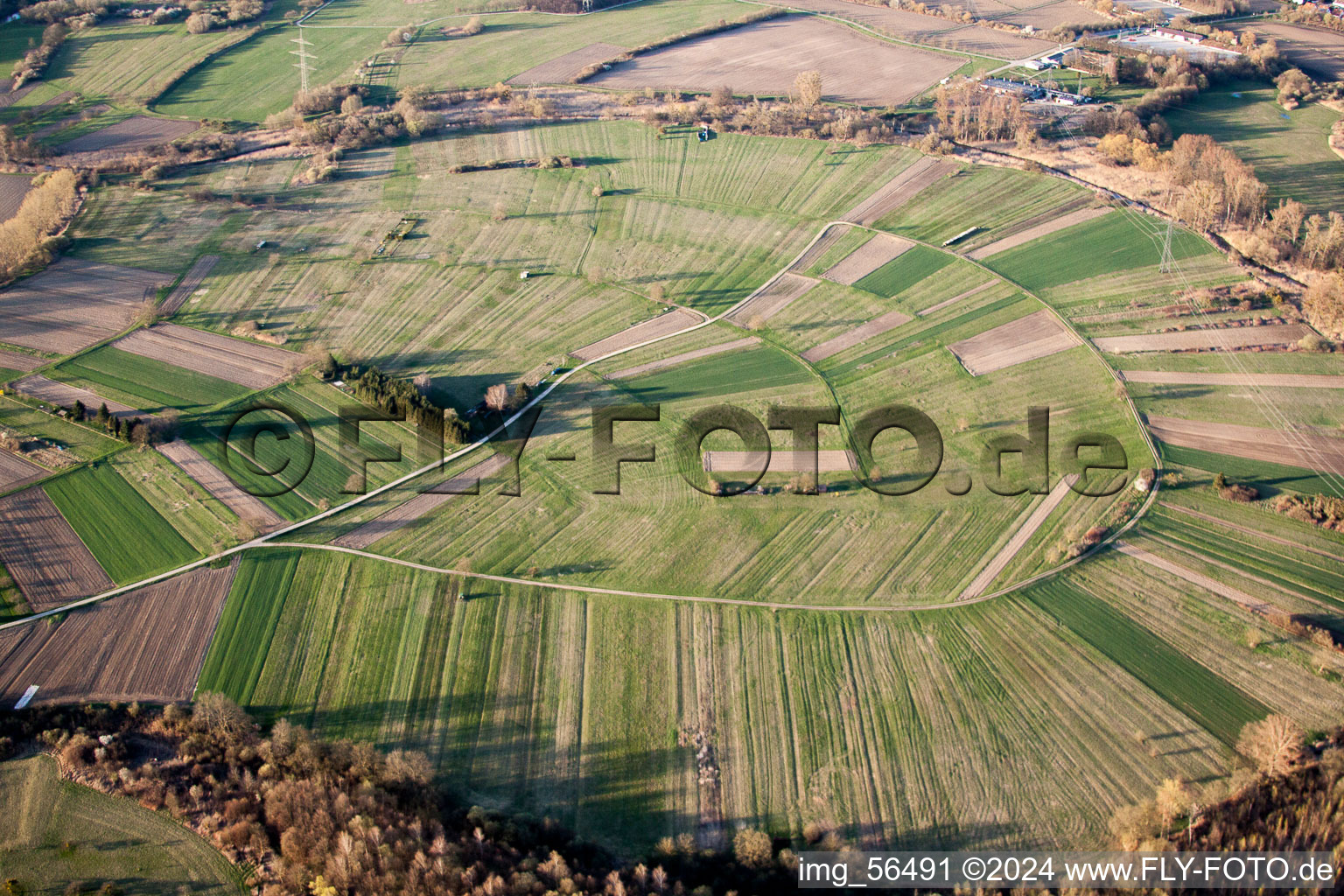 Vue aérienne de Ouvrages sur champs agricoles dans les basses terres du Rhin à Au am Rhein à Au am Rhein dans le département Bade-Wurtemberg, Allemagne