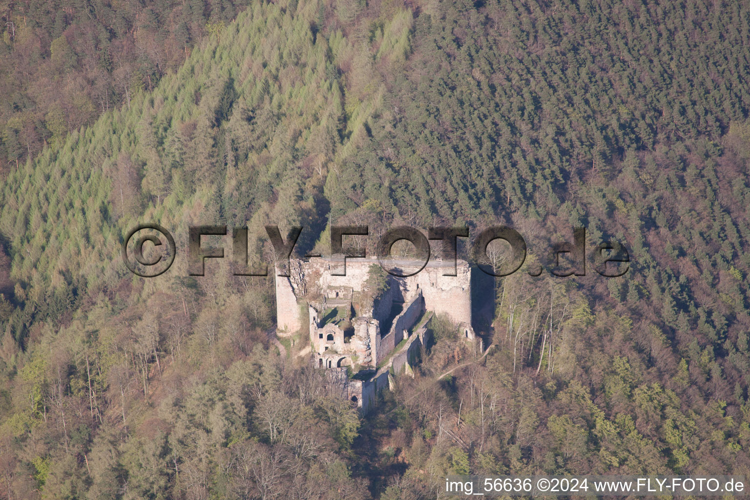 Château de Neuscharfeneck à Dernbach dans le département Rhénanie-Palatinat, Allemagne depuis l'avion