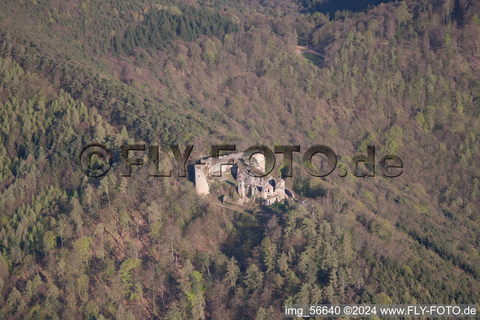 Vue d'oiseau de Château de Neuscharfeneck à Dernbach dans le département Rhénanie-Palatinat, Allemagne