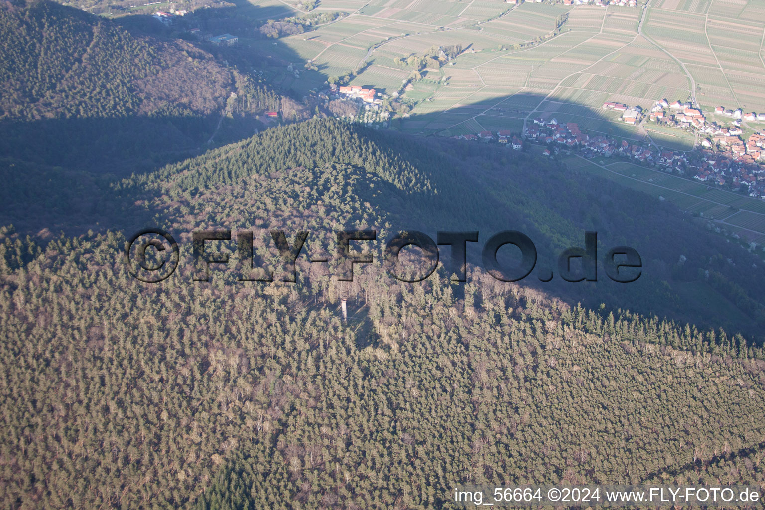 Photographie aérienne de Tour de Ludwigsturm à Weyher in der Pfalz dans le département Rhénanie-Palatinat, Allemagne