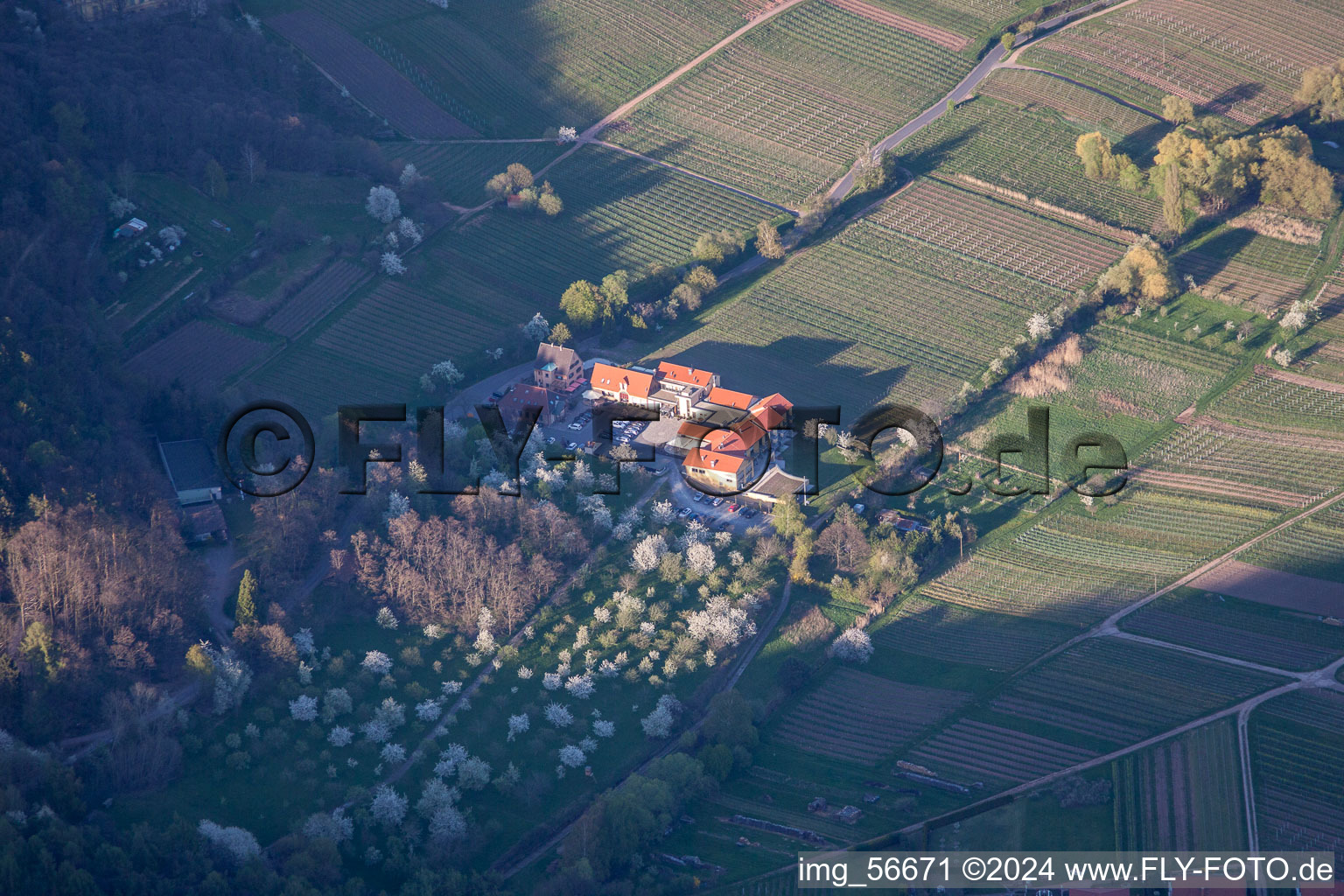 Vue aérienne de Buschmühle dans le département Rhénanie-Palatinat, Allemagne