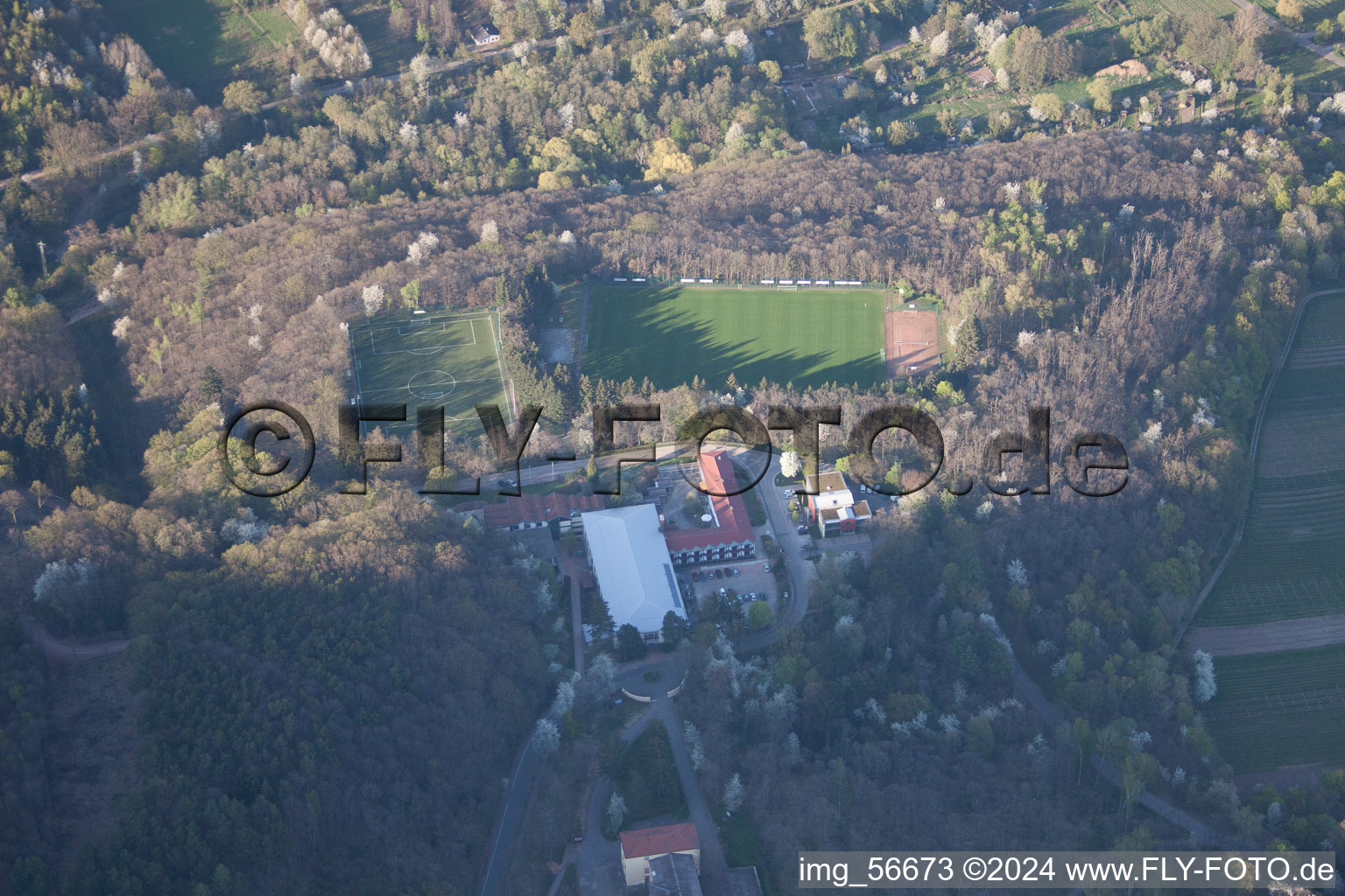 Weyher in der Pfalz dans le département Rhénanie-Palatinat, Allemagne depuis l'avion