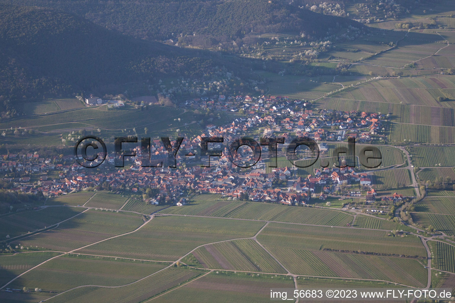 Enregistrement par drone de Saint-Martin à Sankt Martin dans le département Rhénanie-Palatinat, Allemagne