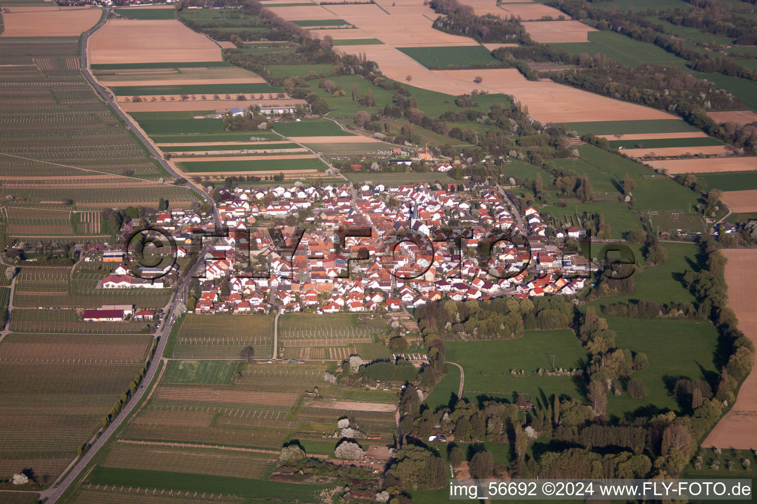 Venningen dans le département Rhénanie-Palatinat, Allemagne vue du ciel