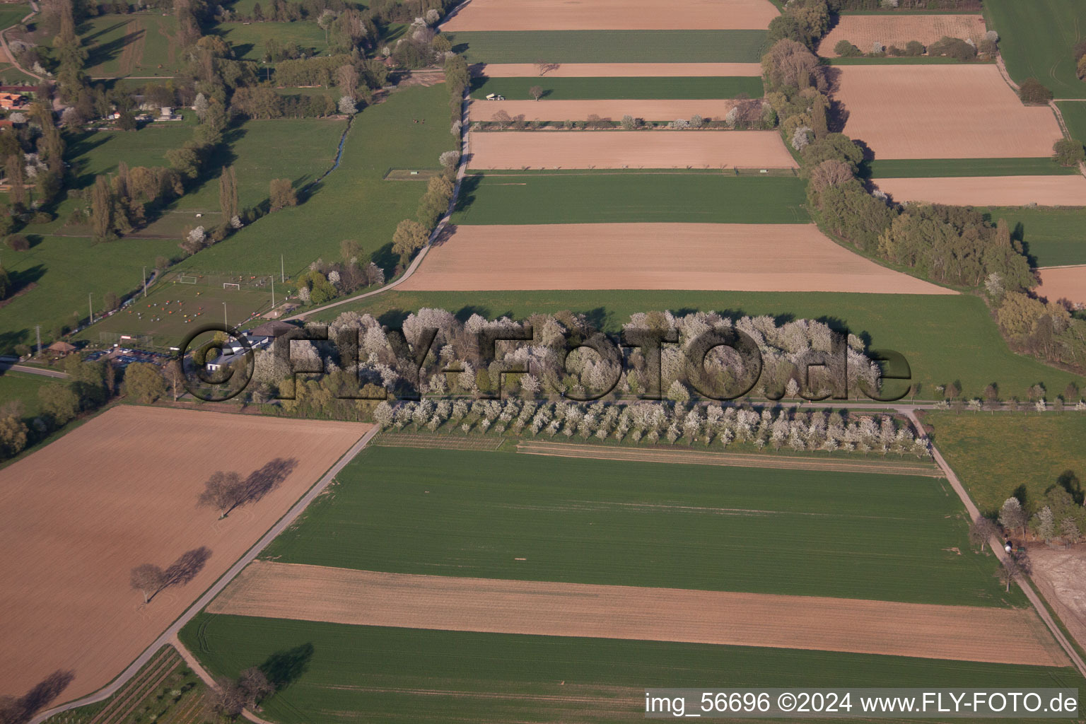 Enregistrement par drone de Venningen dans le département Rhénanie-Palatinat, Allemagne