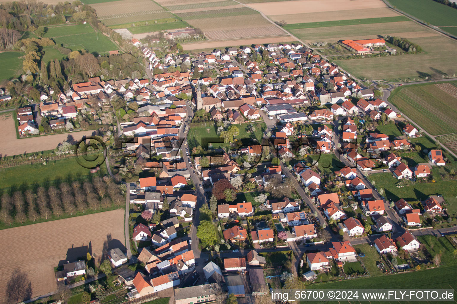 Photographie aérienne de Großfischlingen dans le département Rhénanie-Palatinat, Allemagne