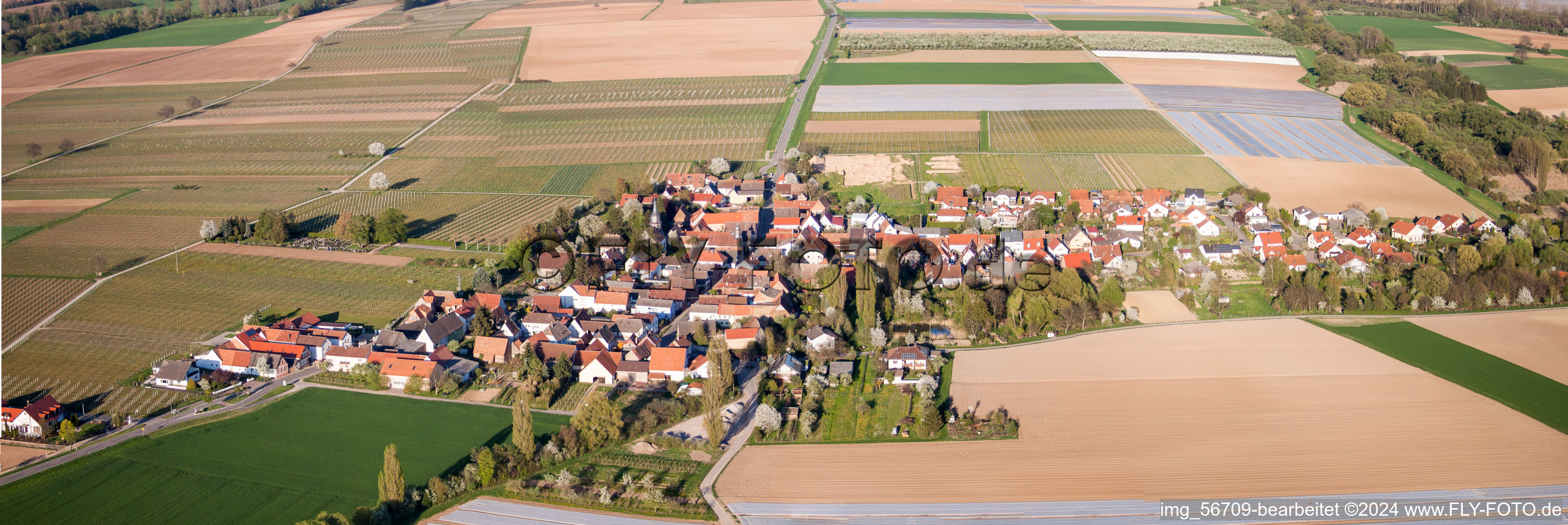 Vue aérienne de Champs agricoles et terres agricoles en perspective panoramique à Kleinfischlingen dans le département Rhénanie-Palatinat, Allemagne