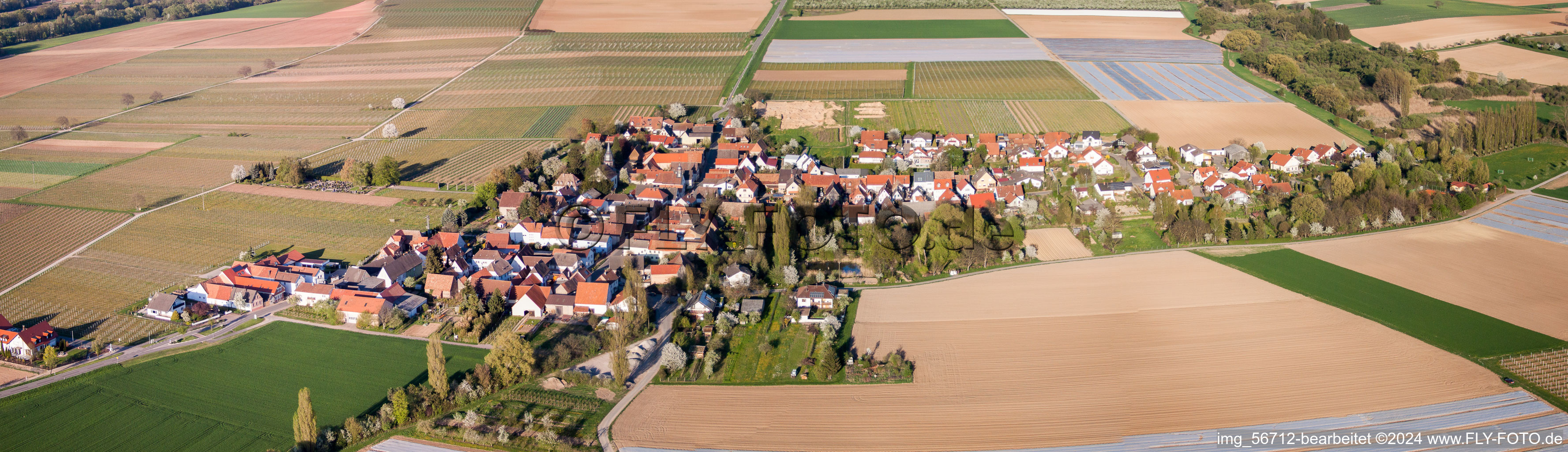 Vue aérienne de Champs agricoles et terres agricoles en perspective panoramique à Kleinfischlingen dans le département Rhénanie-Palatinat, Allemagne