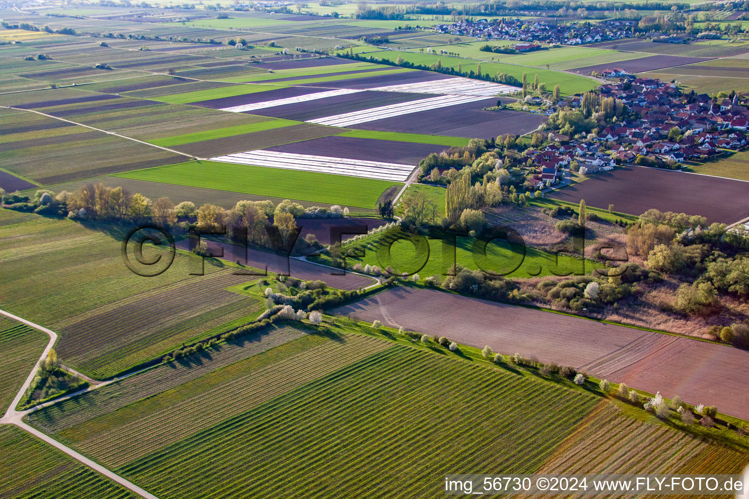 Hochstadt dans le département Rhénanie-Palatinat, Allemagne vu d'un drone