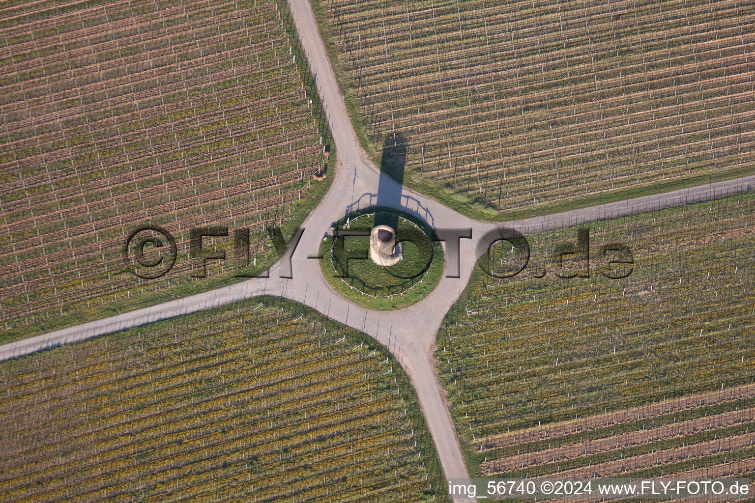 Vue aérienne de Tour vigneronne de Houschder à le quartier Niederhochstadt in Hochstadt dans le département Rhénanie-Palatinat, Allemagne