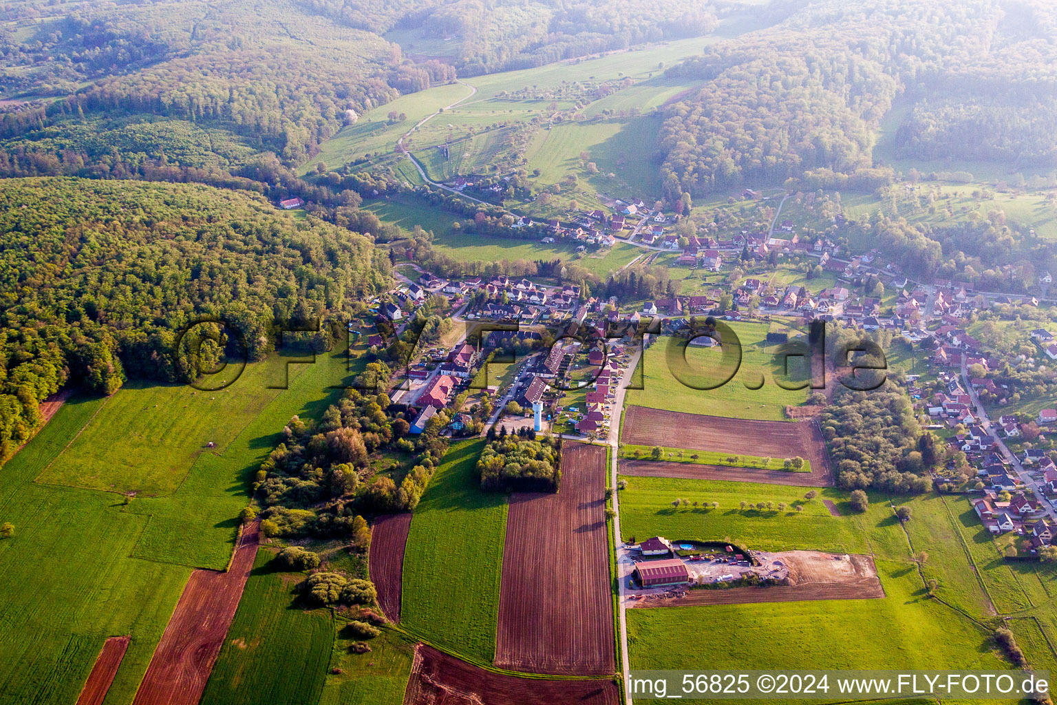 Vue aérienne de Champs agricoles et surfaces utilisables à Langensoultzbach dans le département Bas Rhin, France