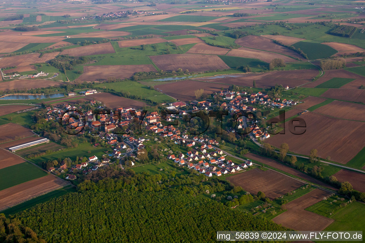 Vue aérienne de Champs agricoles et surfaces utilisables à Kutzenhausen dans le département Bas Rhin, France