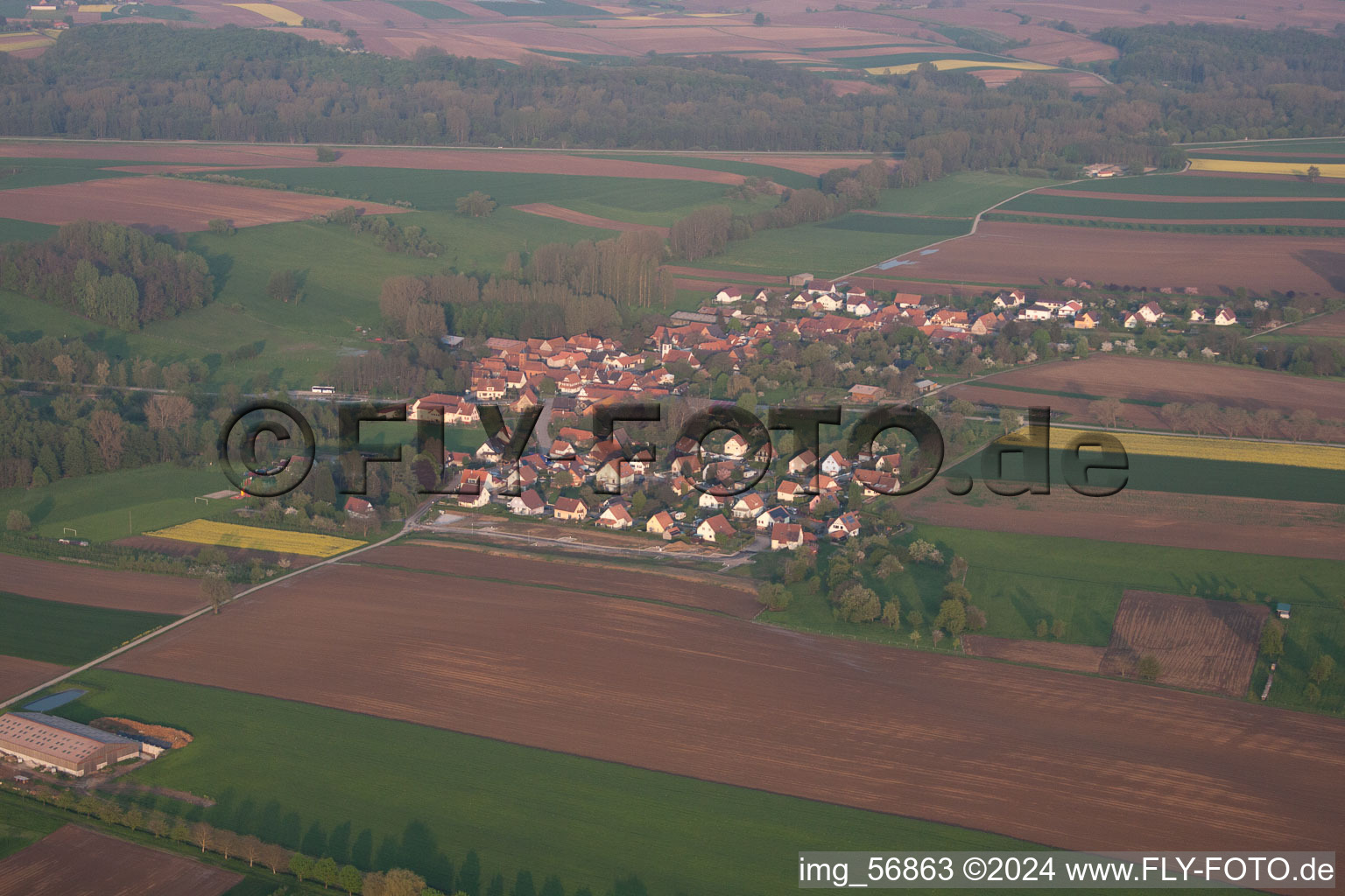Vue aérienne de Champs agricoles et surfaces utilisables à Ingolsheim dans le département Bas Rhin, France