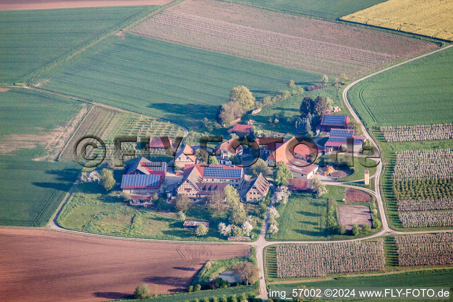 Vue aérienne de Le restaurant champêtre de Schäfer à le quartier Michaelsberg in Gundelsheim dans le département Bade-Wurtemberg, Allemagne