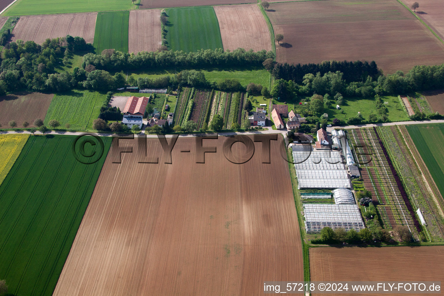 Vollmersweiler dans le département Rhénanie-Palatinat, Allemagne d'en haut