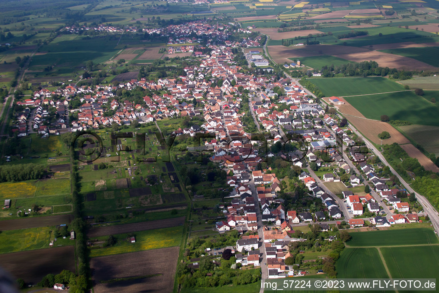 Vue oblique de Steinfeld dans le département Rhénanie-Palatinat, Allemagne