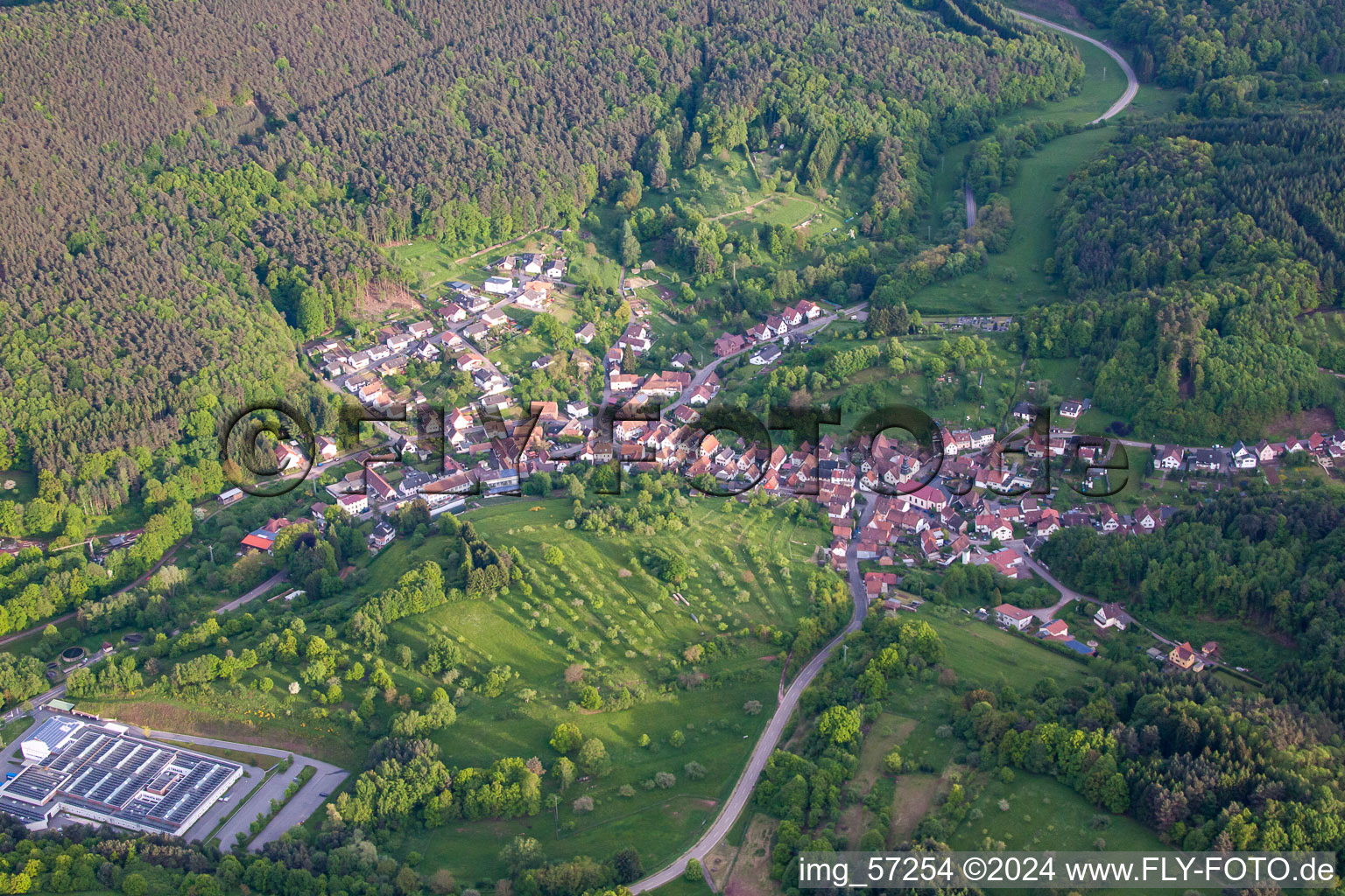 Schwanheim dans le département Rhénanie-Palatinat, Allemagne vue du ciel