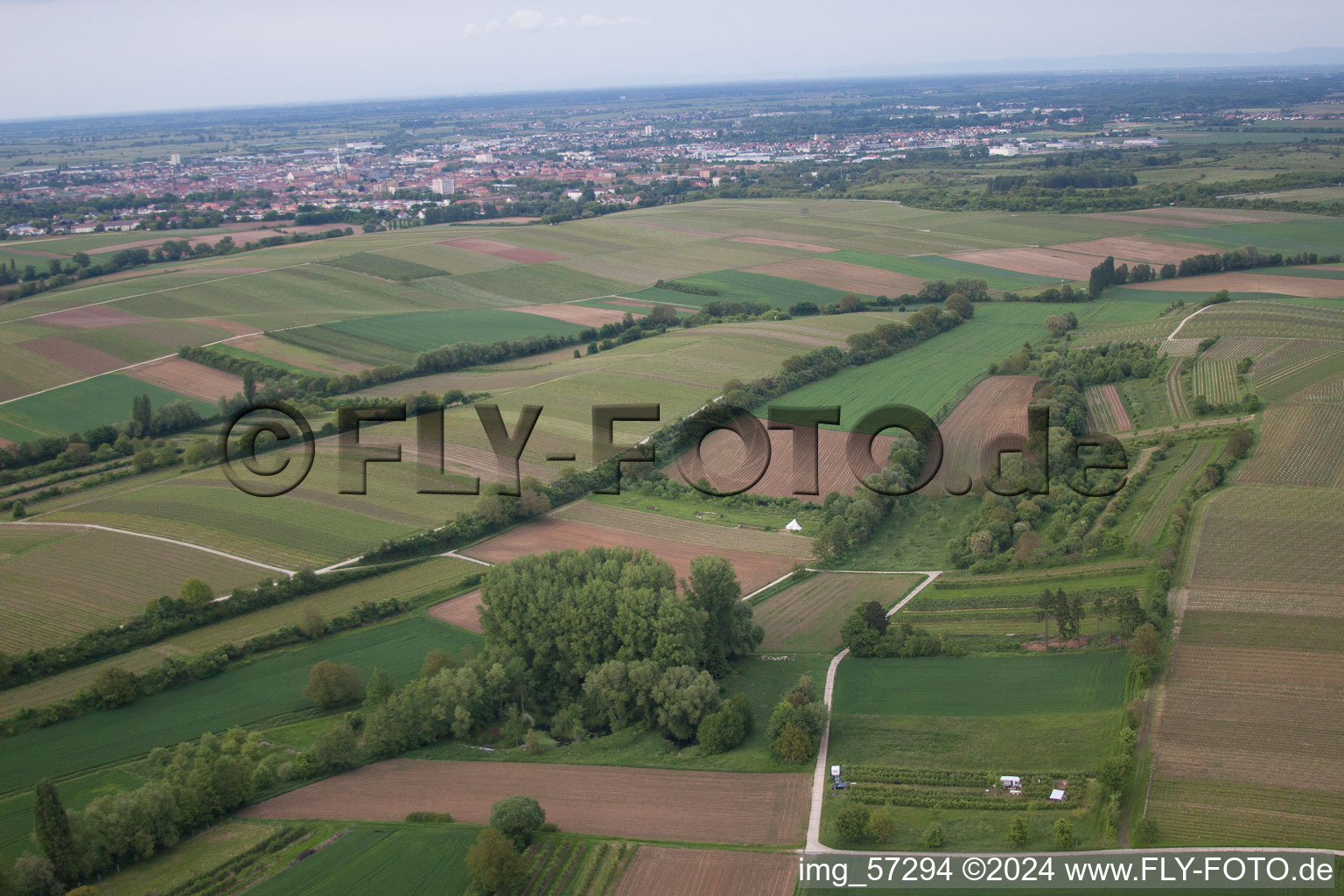 Quartier Mörzheim in Landau in der Pfalz dans le département Rhénanie-Palatinat, Allemagne vue du ciel