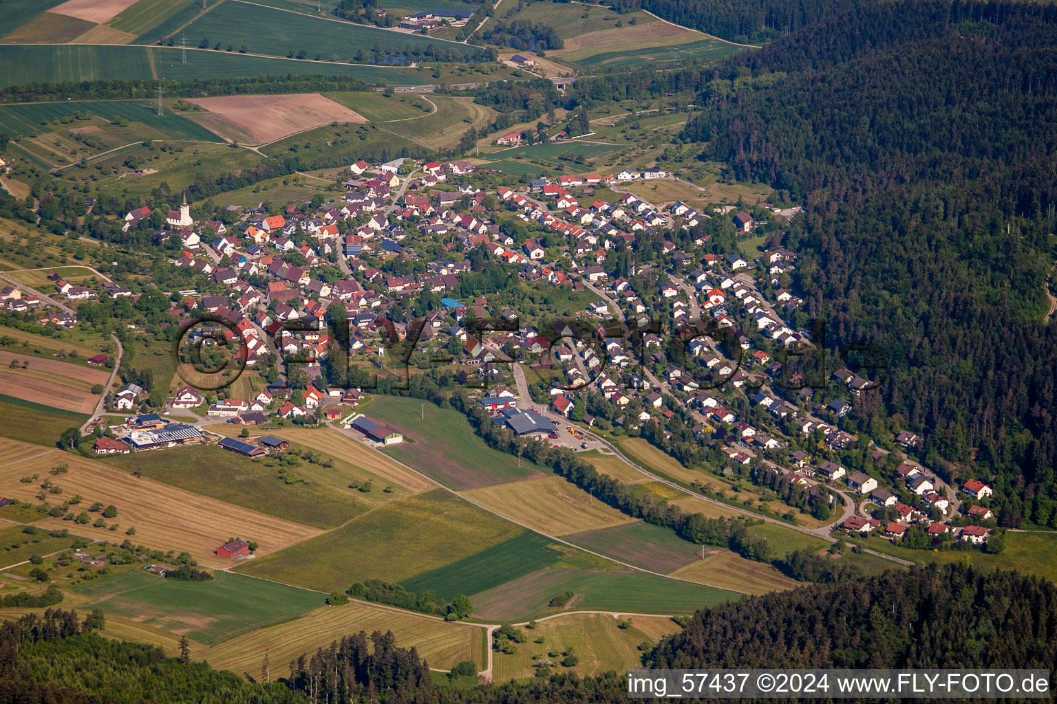 Vue aérienne de Quartier Trichtingen in Epfendorf dans le département Bade-Wurtemberg, Allemagne