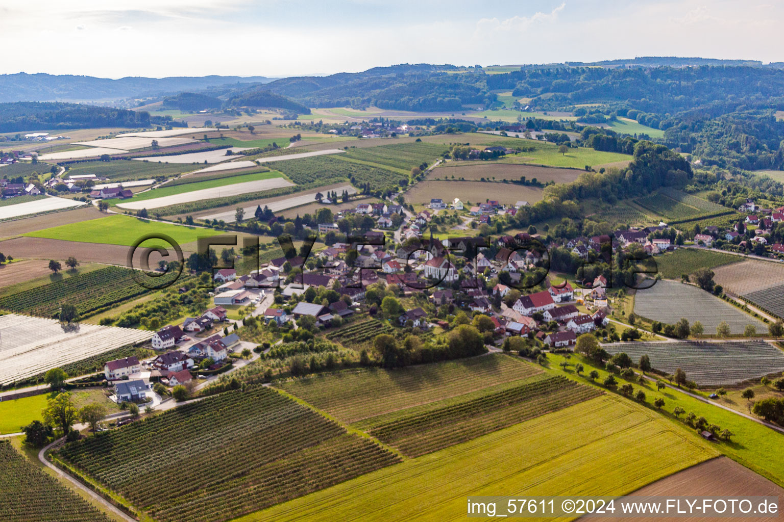 Vue aérienne de Quartier Lippertsreute in Überlingen dans le département Bade-Wurtemberg, Allemagne