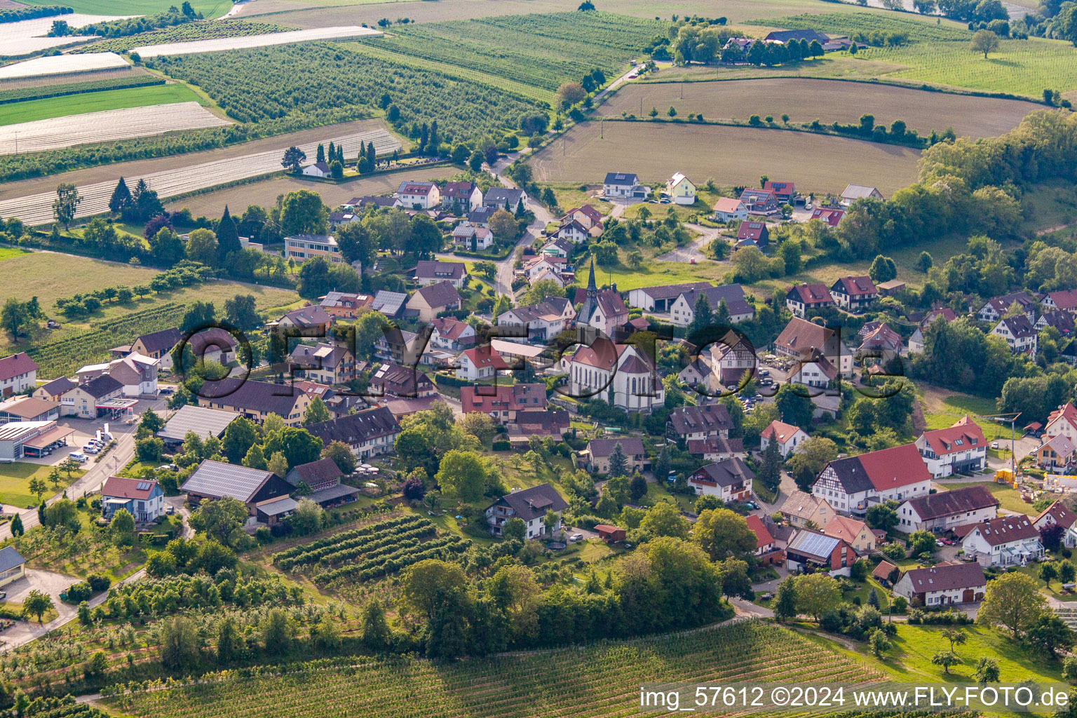 Vue aérienne de Quartier Lippertsreute in Überlingen dans le département Bade-Wurtemberg, Allemagne