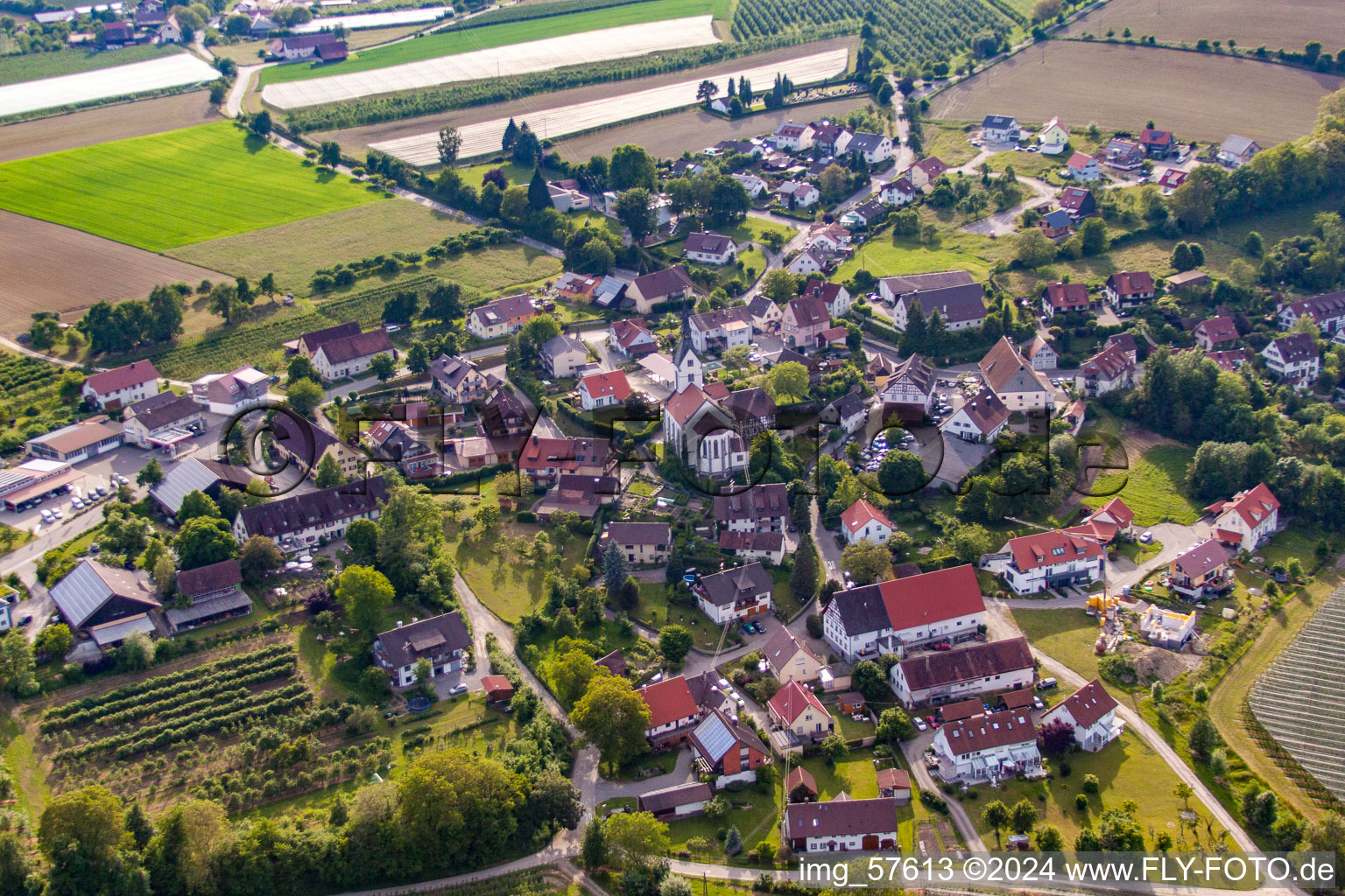 Photographie aérienne de Quartier Lippertsreute in Überlingen dans le département Bade-Wurtemberg, Allemagne