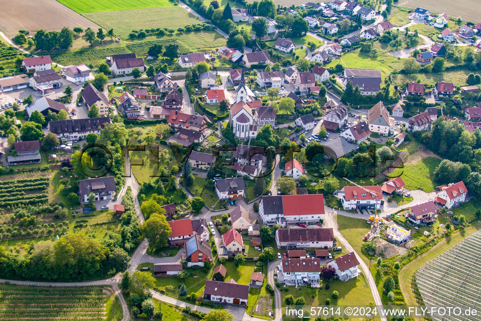 Vue oblique de Quartier Lippertsreute in Überlingen dans le département Bade-Wurtemberg, Allemagne